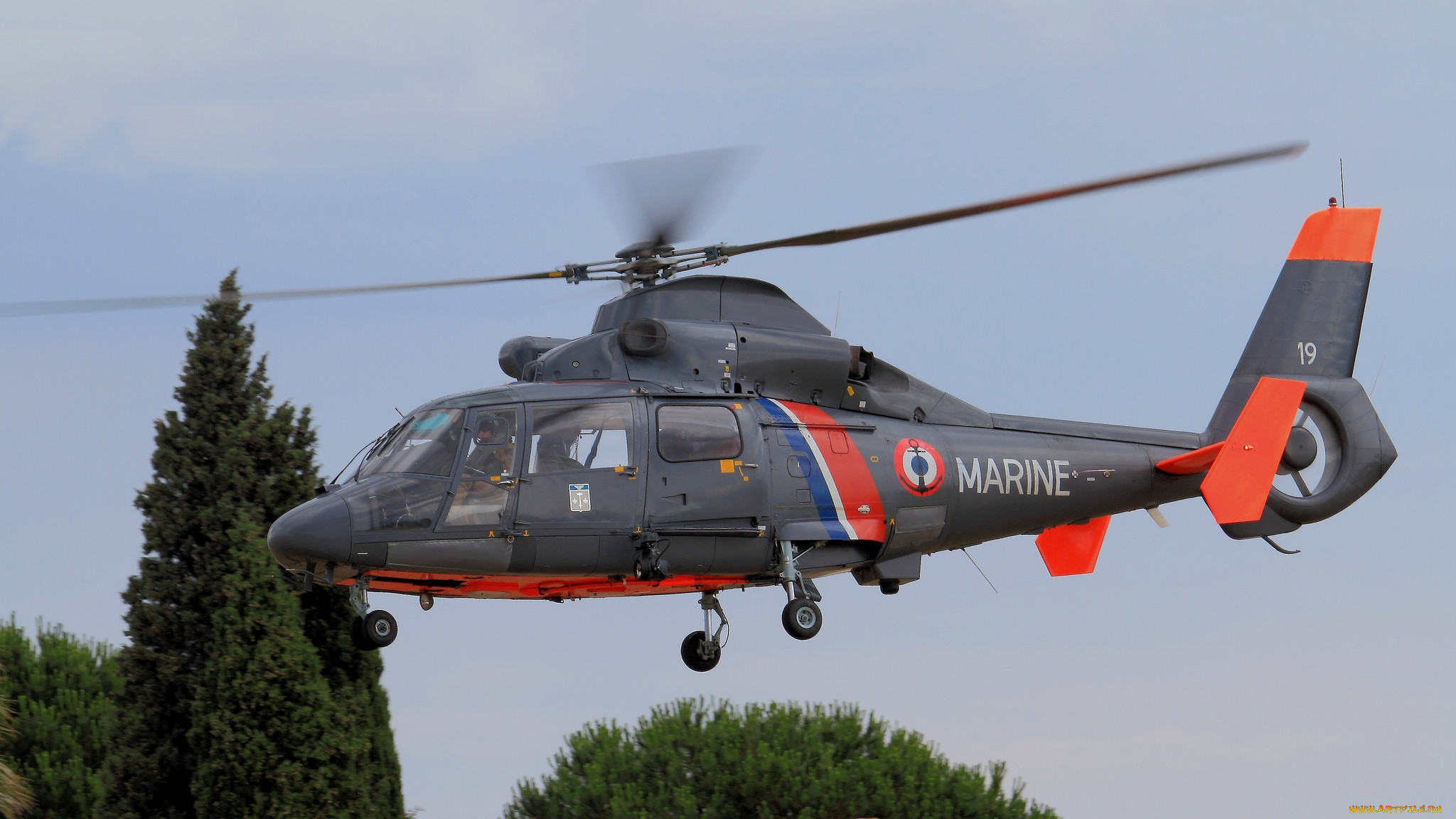 a&, 233, rospatiale as 365 sp dauphin, , , 